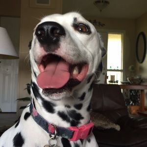 Meet your Posher, Lynn